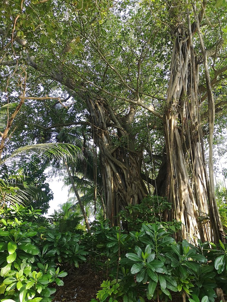 IMG-20181102-160504.jpg
