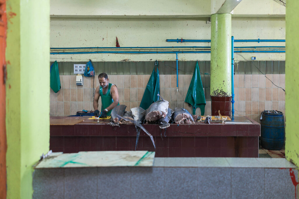 181114-RX1-1420-MDV03297-EDIT.jpg