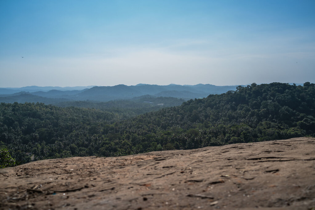 181219-RX1-1518-LKA7326-EDIT.jpg