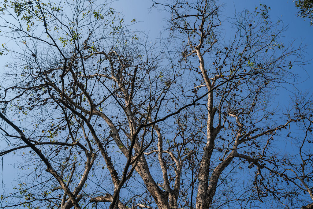 181230-RX1-1533-LKA8220-EDIT.jpg