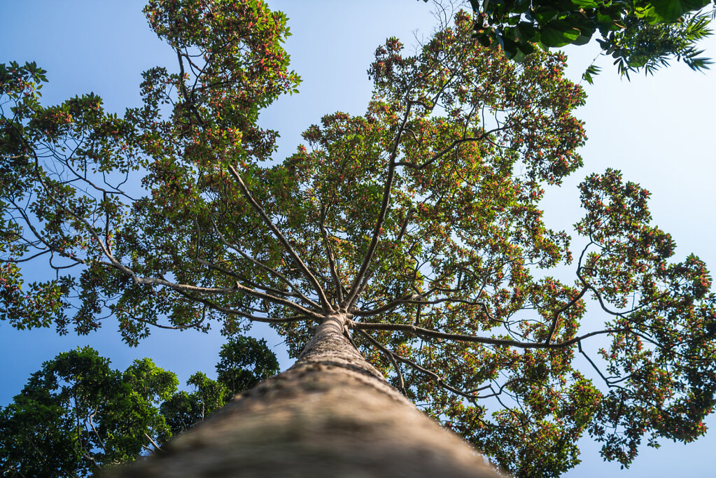 181230-RX1-1548-LKA8231-EDIT.jpg