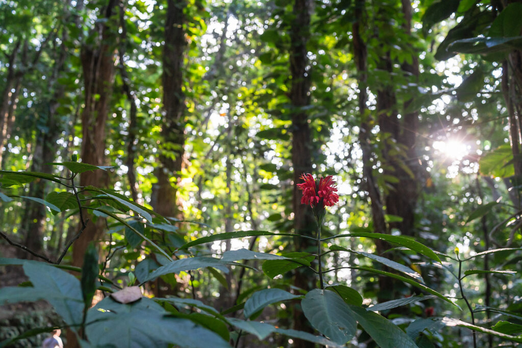 190101-RX1-1643-LKA8691-EDIT.jpg