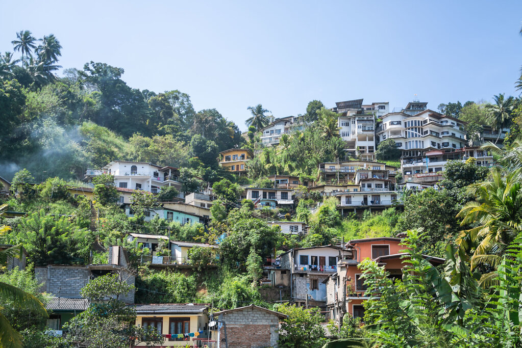 190101-RX1-1252-LKA8556-EDIT.jpg