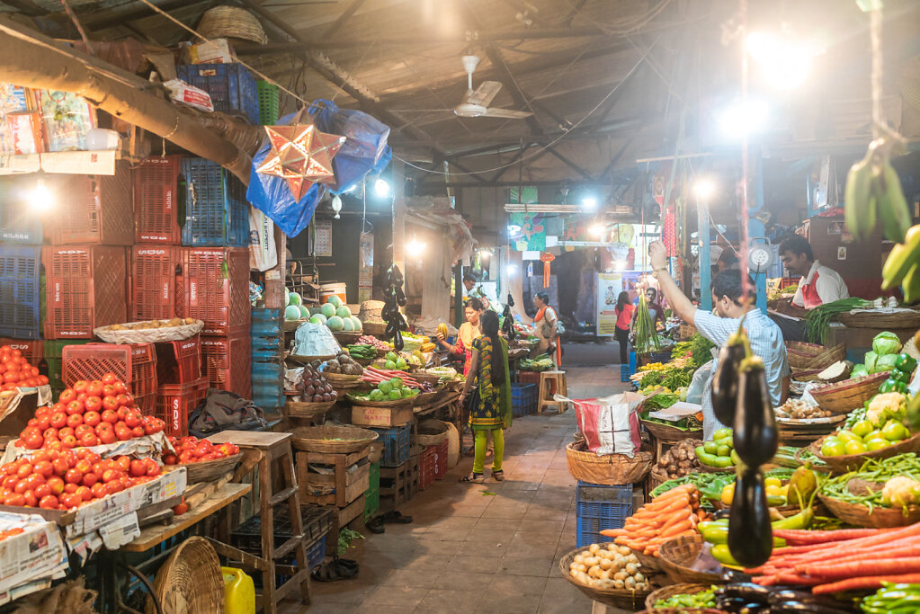 190221-RX1-1851-IND6086-EDIT.jpg