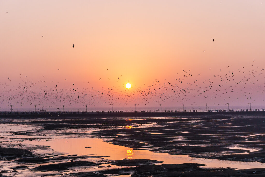 190222-A6K-1826-IND4339-EDIT.jpg