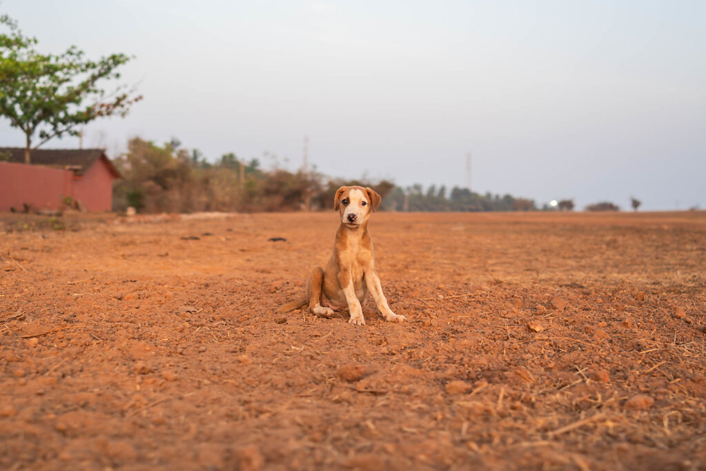 190308-RX1-1818-IND9112-EDIT.jpg