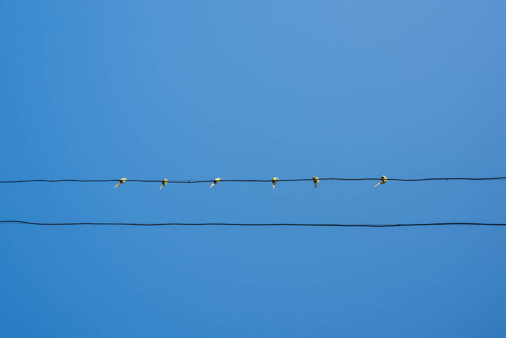 190303-RX1-1736-IND8549-EDIT.jpg