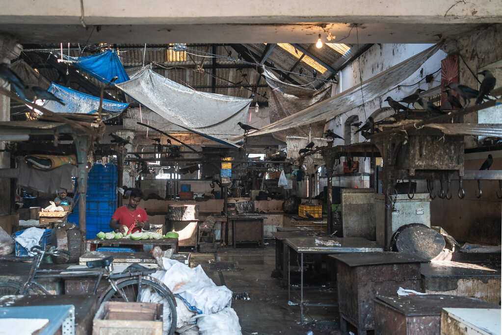 190302-RX1-1521-IND8074-EDIT.jpg
