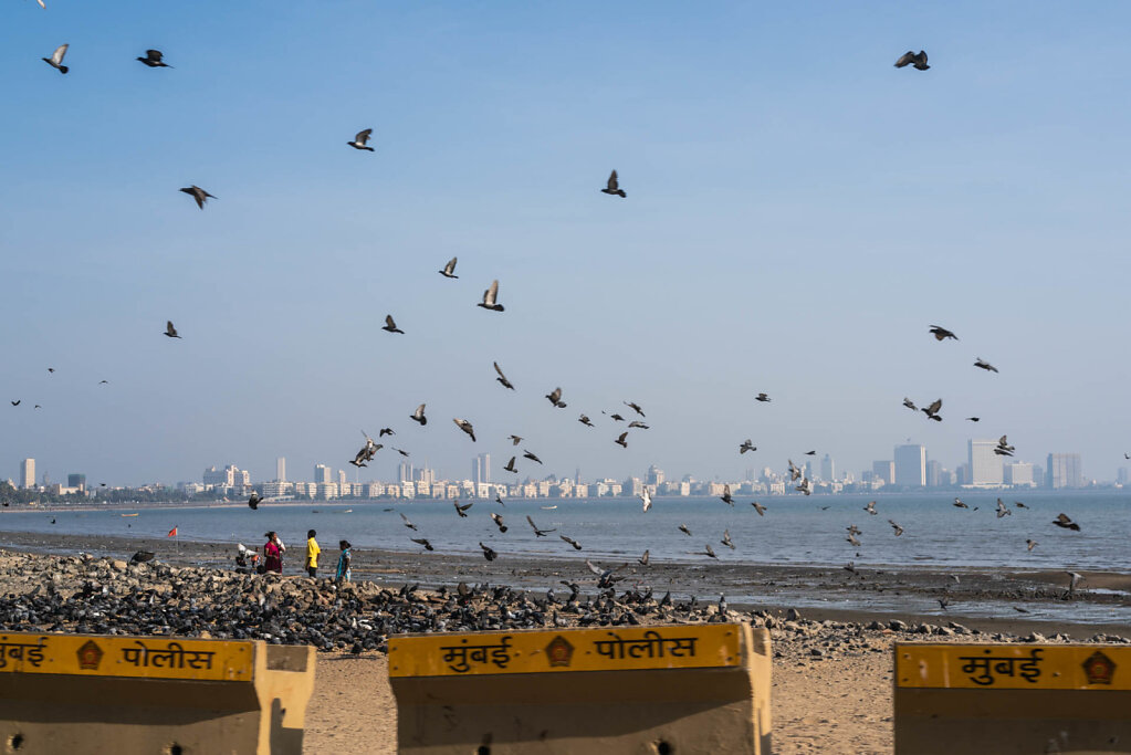 190302-RX1-1640-IND8167-EDIT.jpg