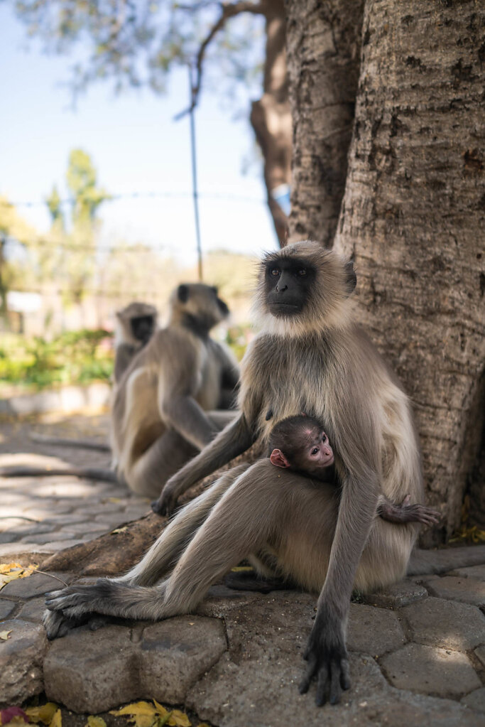 190225-RX1-1253-IND7599-EDIT.jpg
