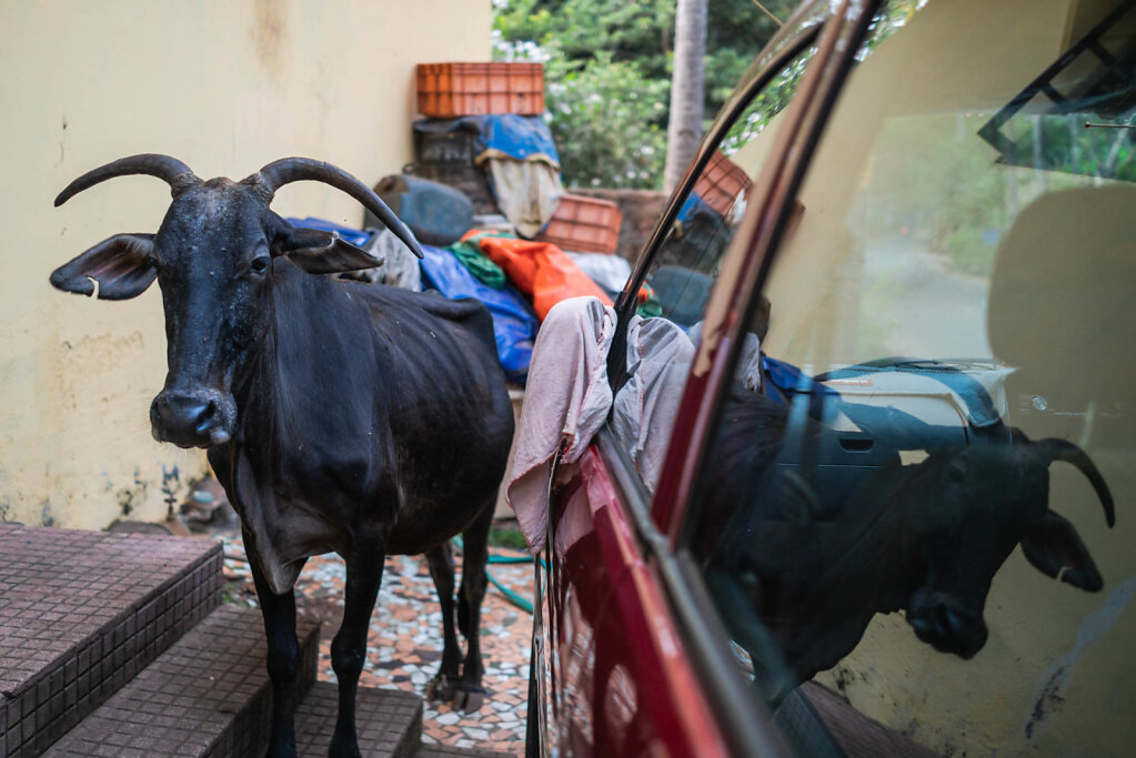 190313-RX1-1741-IND9345-EDIT.jpg
