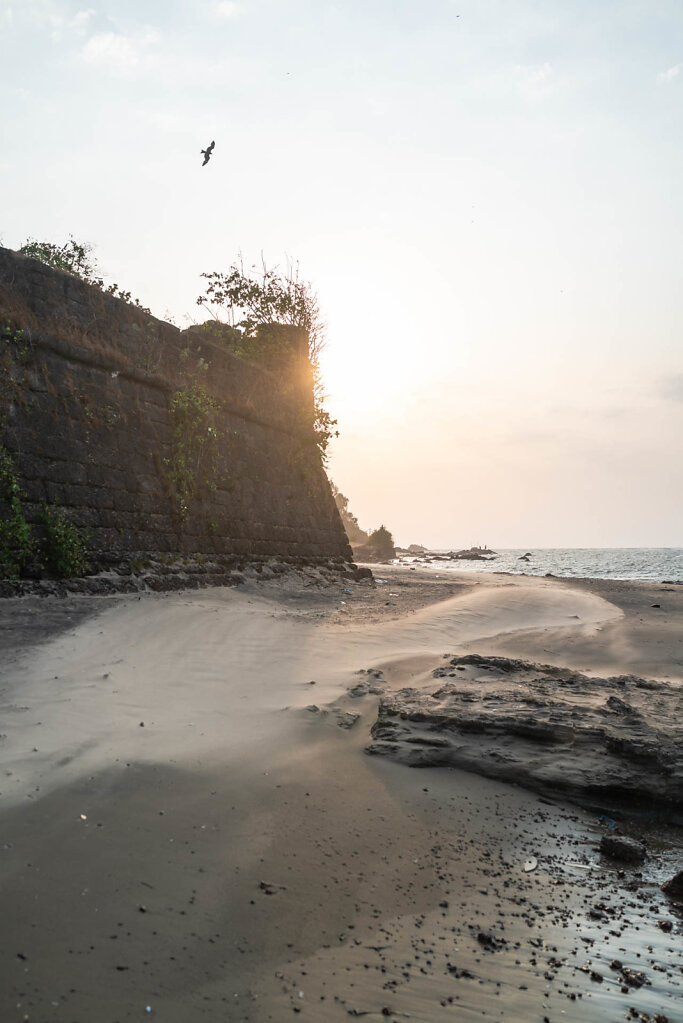 190313-RX1-1753-IND9379-EDIT.jpg