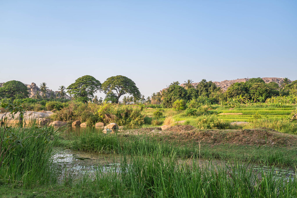 190320-RX1-1724-IND0073-EDIT.jpg