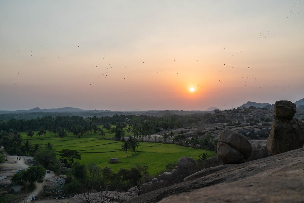 190320-RX1-1811-IND0114-EDIT.jpg