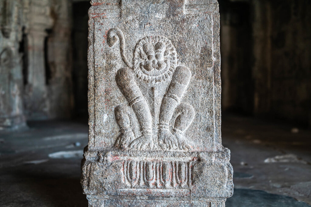 190323-RX1-1105-IND0838-EDIT.jpg