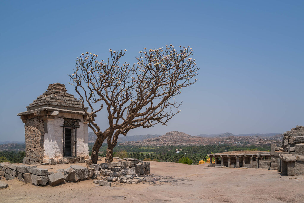 190323-RX1-1134-IND0889-EDIT.jpg
