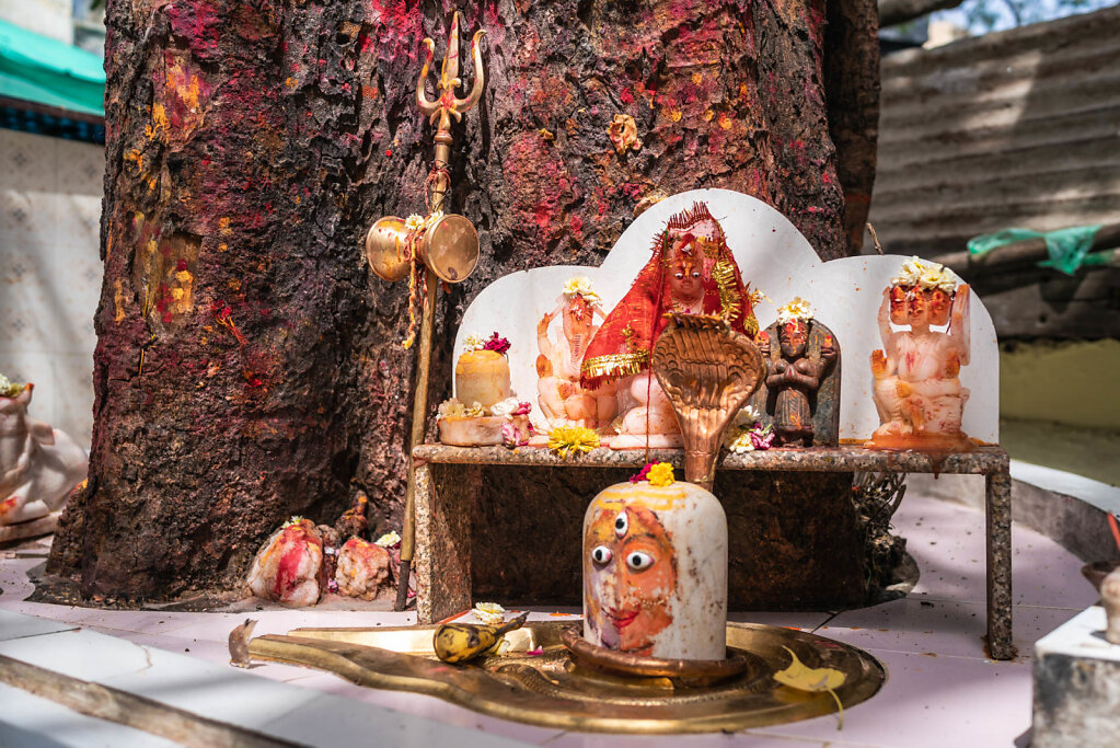 190407-RX1-1428-IND1415-EDIT.jpg