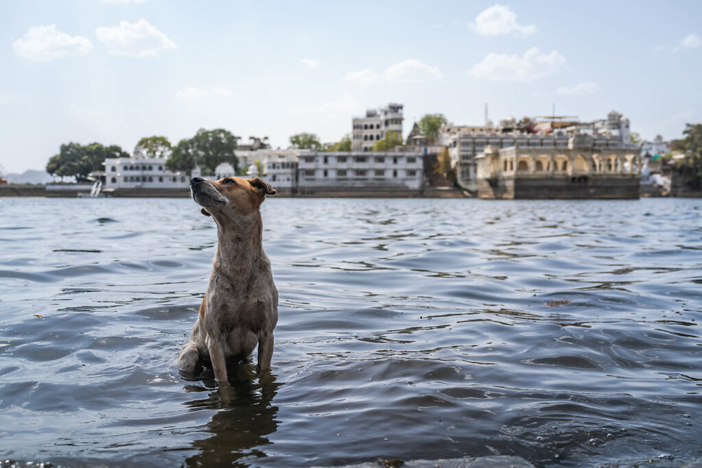 190407-RX1-1456-IND1465-EDIT.jpg
