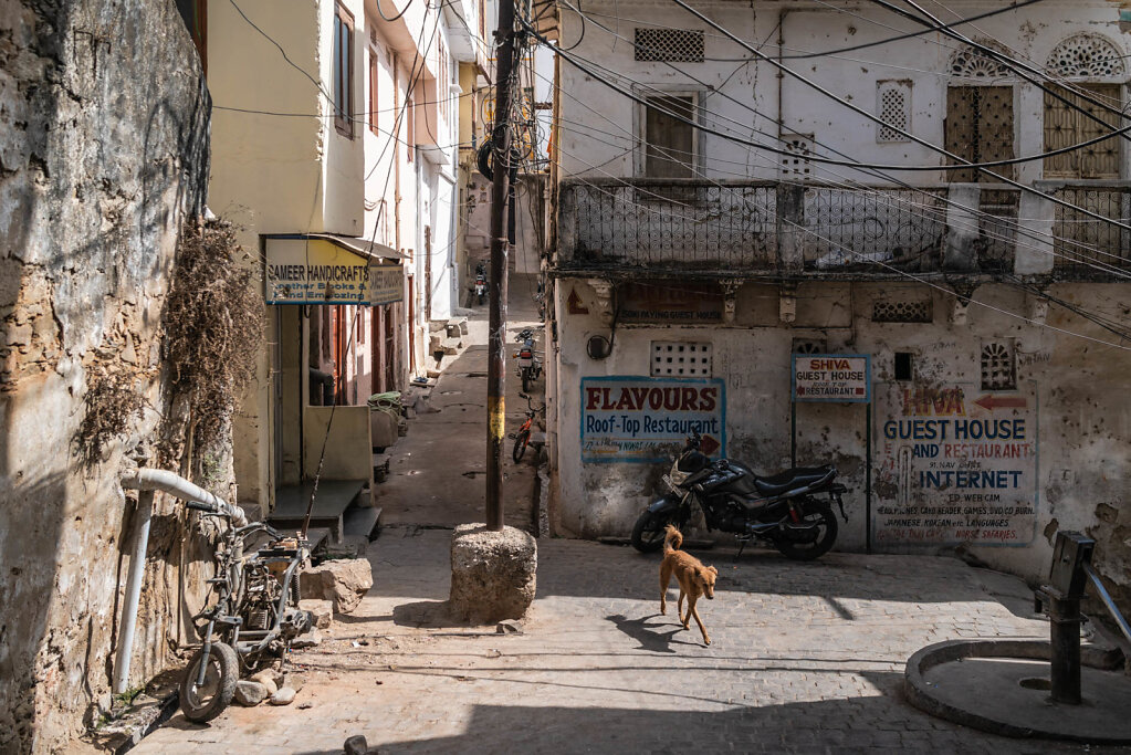 190407-RX1-1502-IND1489-EDIT.jpg