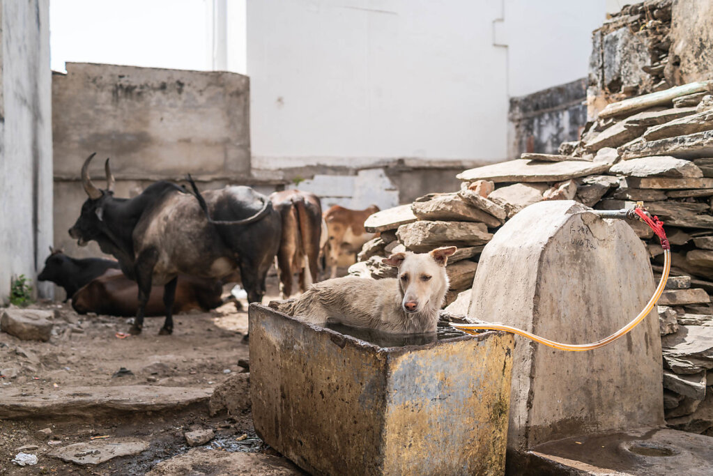 190407-RX1-1504-IND1518-EDIT.jpg