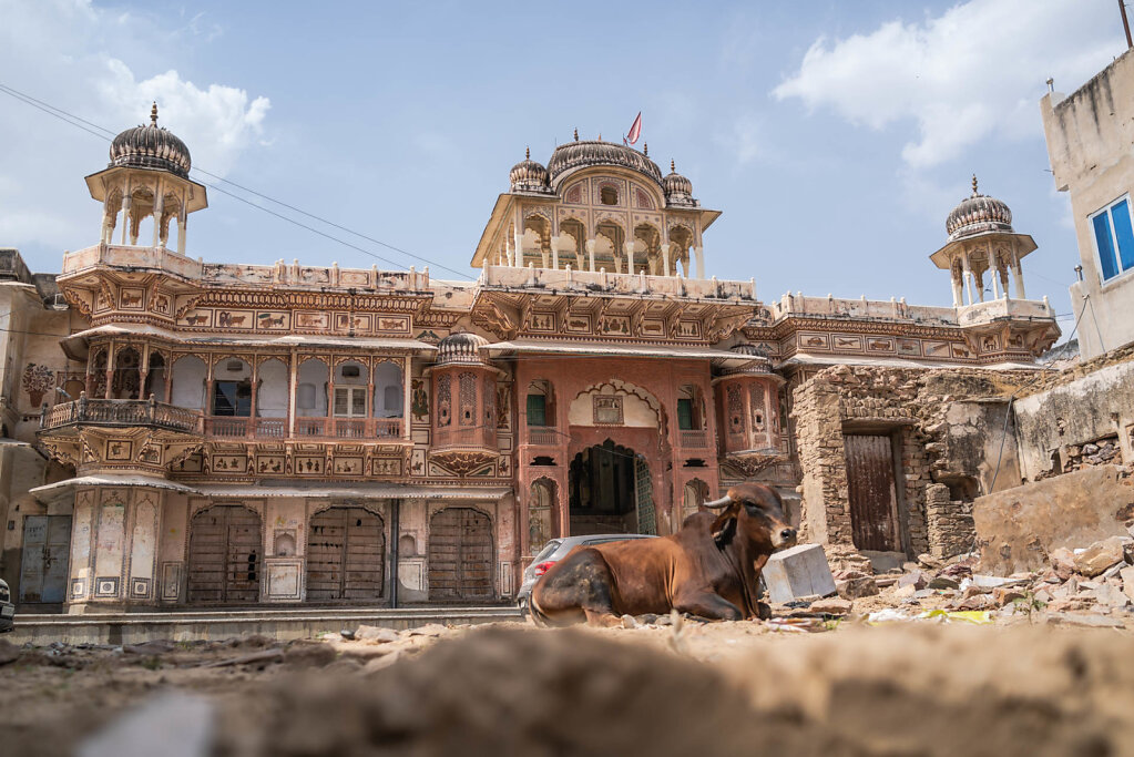 190413-RX1-1432-IND3020-EDIT.jpg