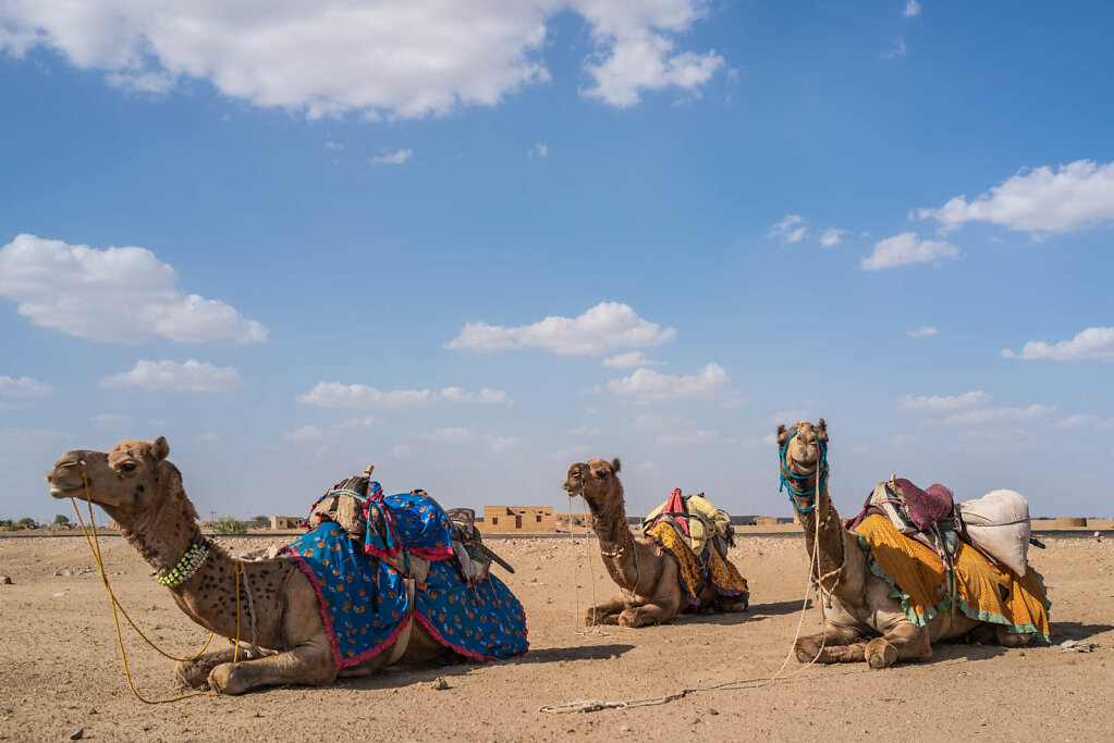 190419-RX1-1624-IND3906-EDIT.jpg