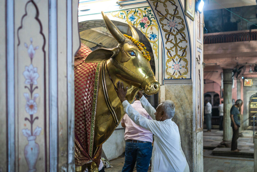 190425-RX1-2037-IND5245-EDIT.jpg