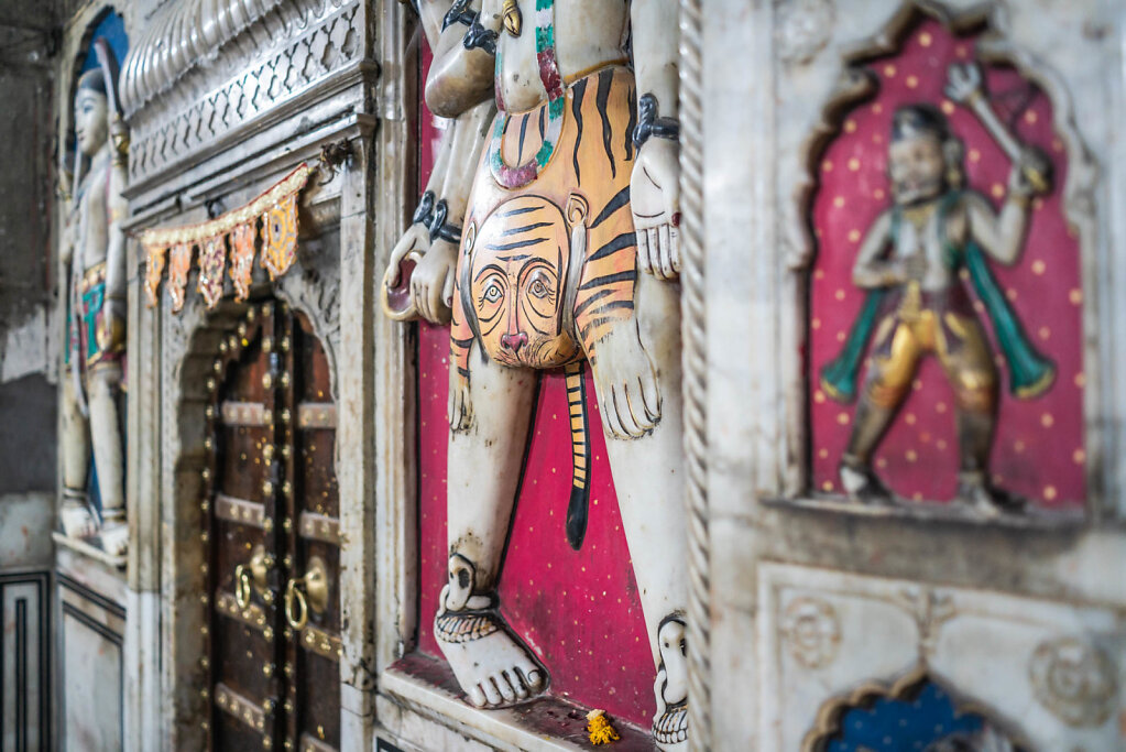 190425-RX1-2049-IND5302-EDIT.jpg