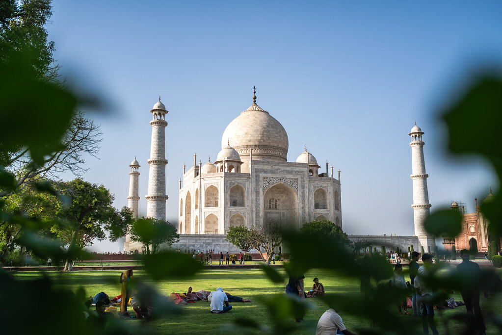 190430-RX1-1700-IND5438-EDIT.jpg