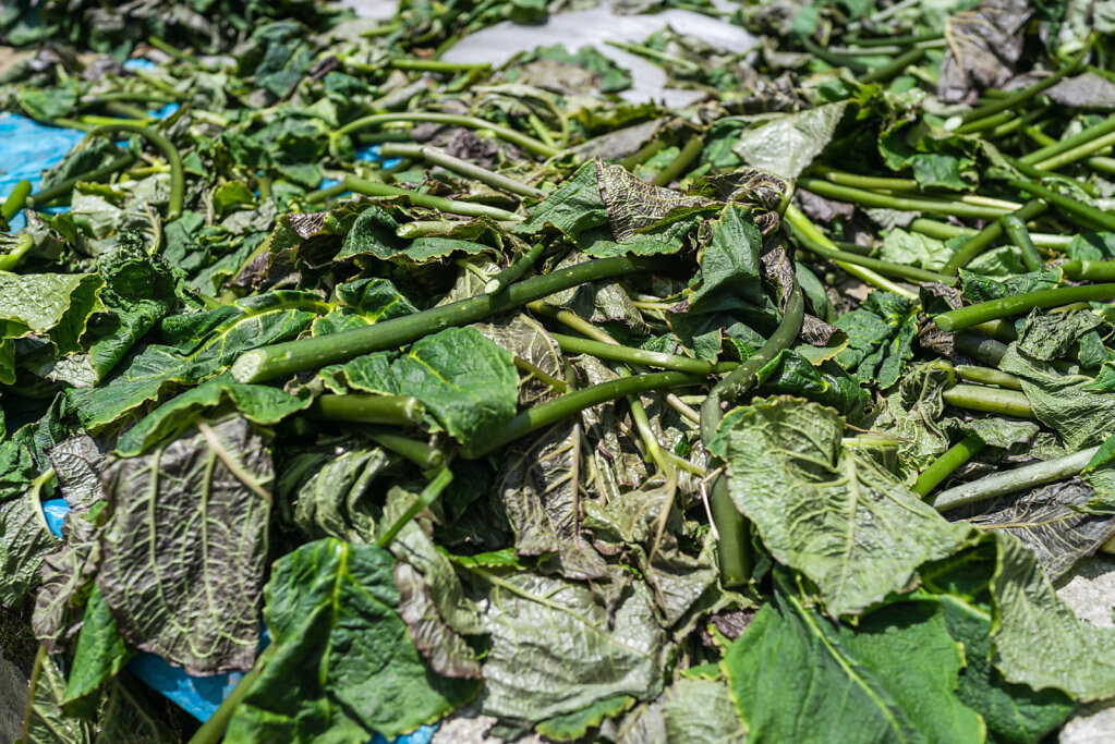 190517-RX1-1111-NPL6144-EDIT.jpg