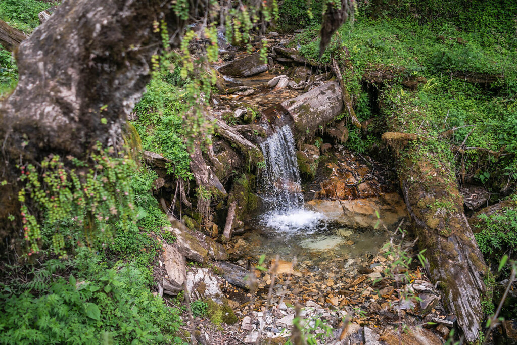 190518-RX1-1101-NPL6548-EDIT.jpg