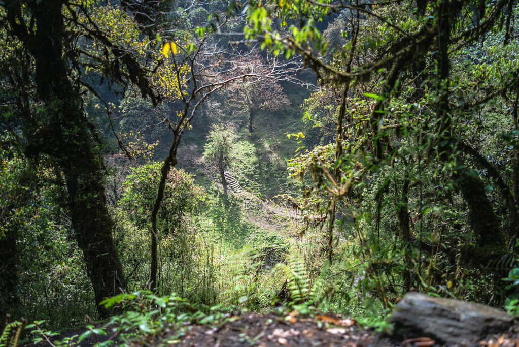 190518-RX1-1418-NPL6621-EDIT.jpg