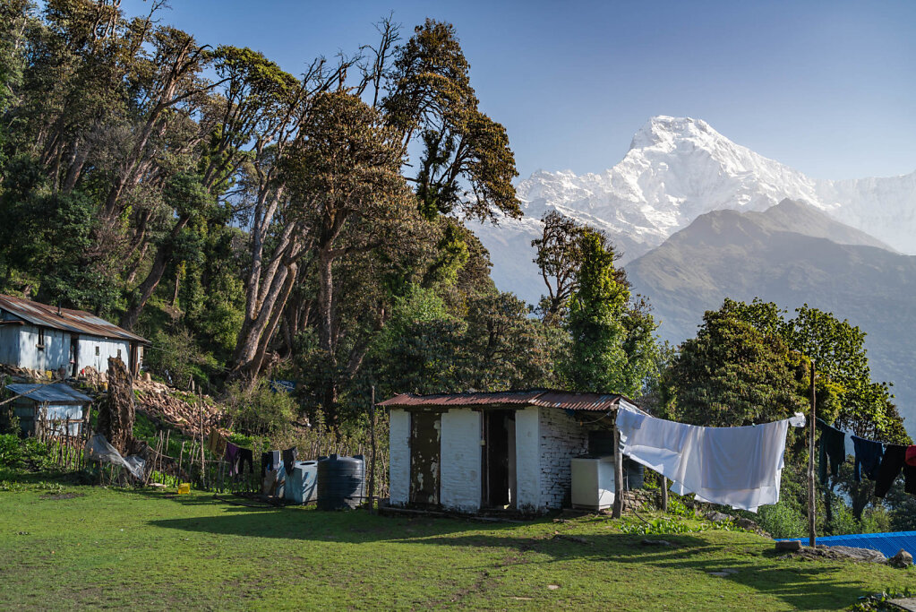 190519-RX1-0706-NPL6684-EDIT.jpg