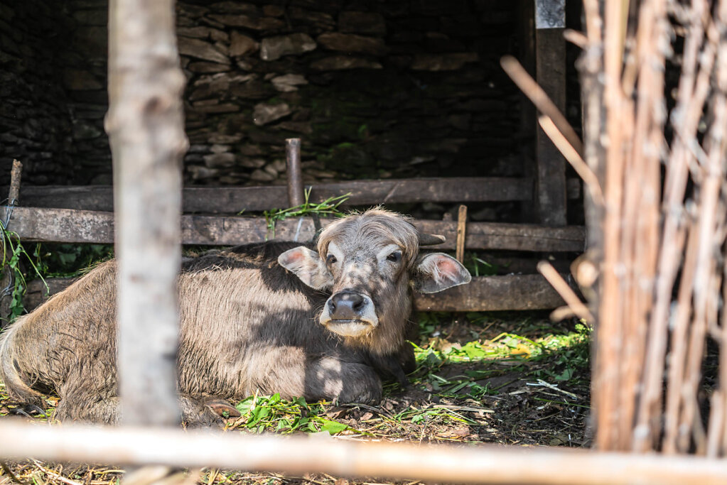 190519-RX1-0848-NPL6764-EDIT.jpg
