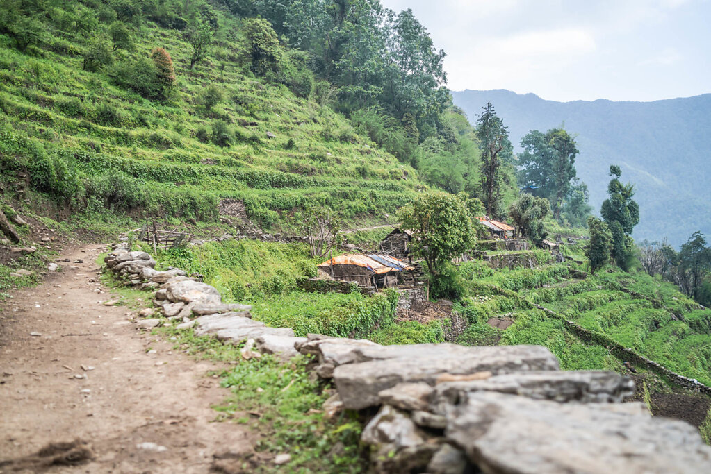 190519-RX1-1334-NPL6894-EDIT.jpg