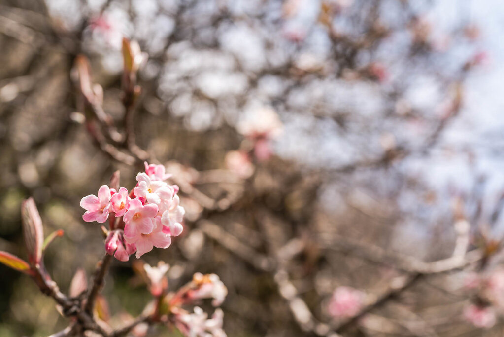 190521-RX1-1042-NPL7367-EDIT.jpg