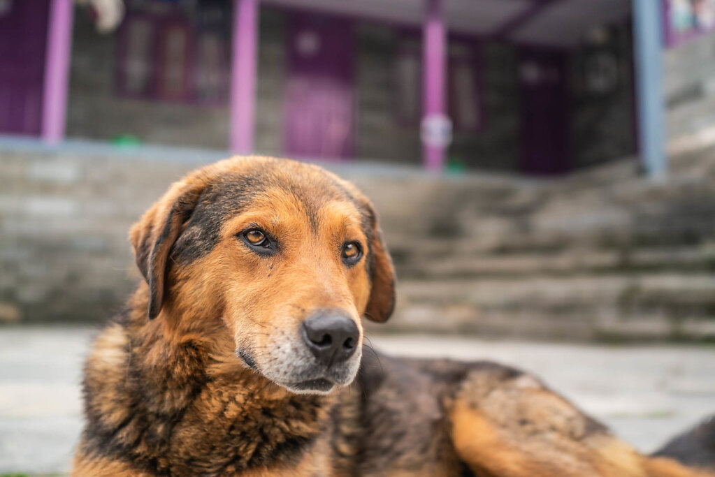190521-RX1-1340-NPL7434-EDIT.jpg