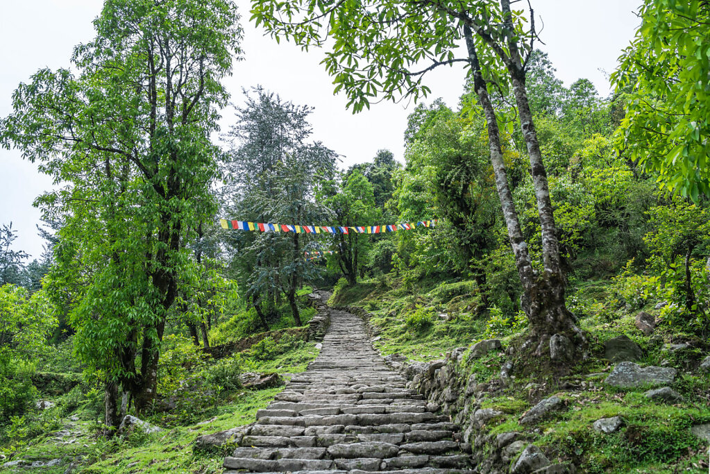 190523-RX1-1118-NPL8140-EDIT.jpg