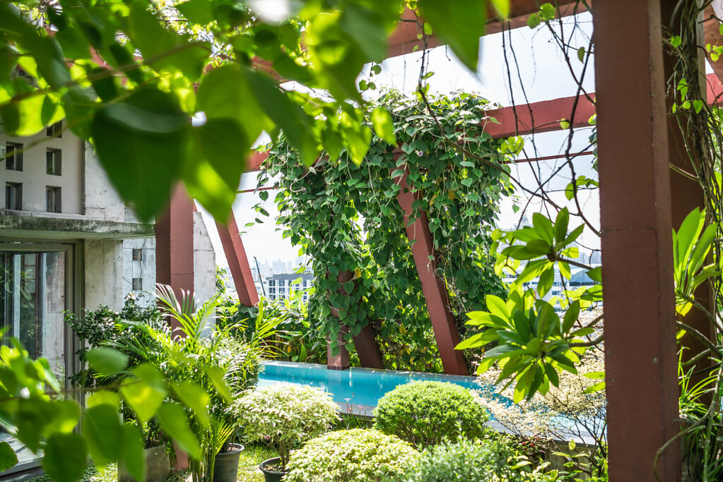 190708-RX1-1452-THA9672-EDIT.jpg