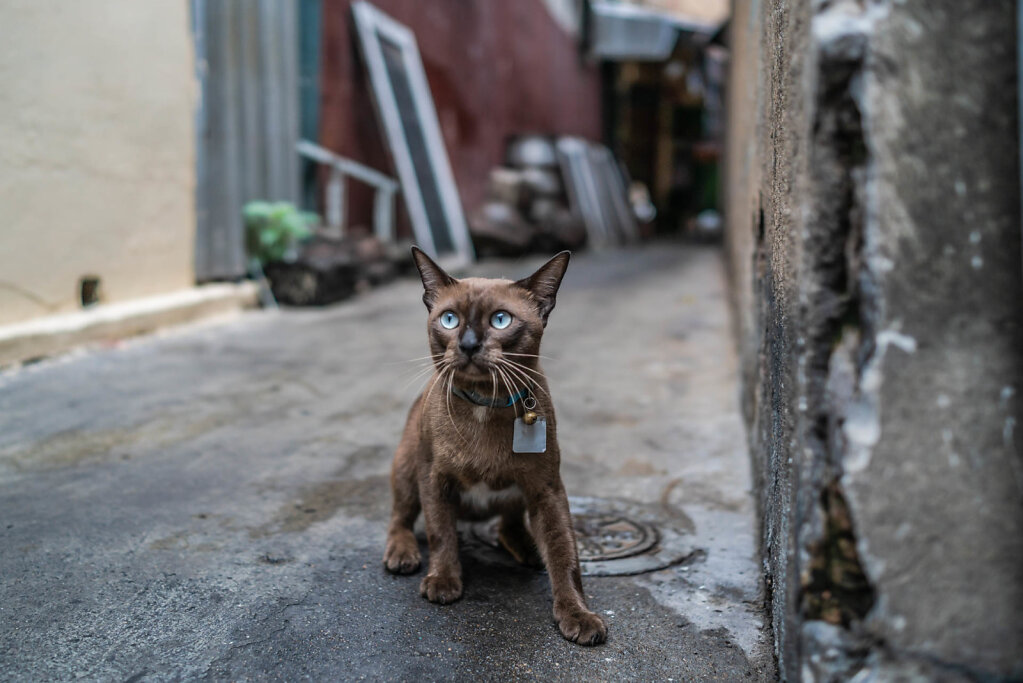 190705-RX1-1608-THA9487-EDIT.jpg
