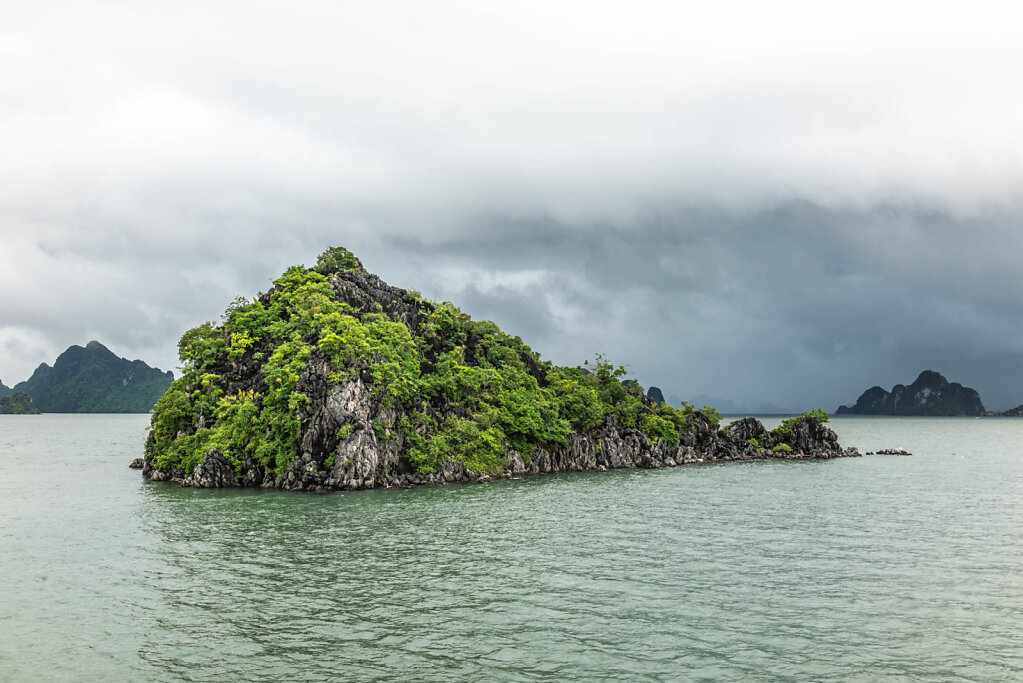 190803-RX1-1613-VNM0930-EDIT.jpg