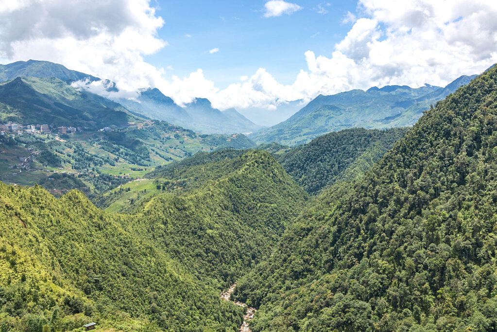 190807-RX1-1117-VNM1755-EDIT.jpg