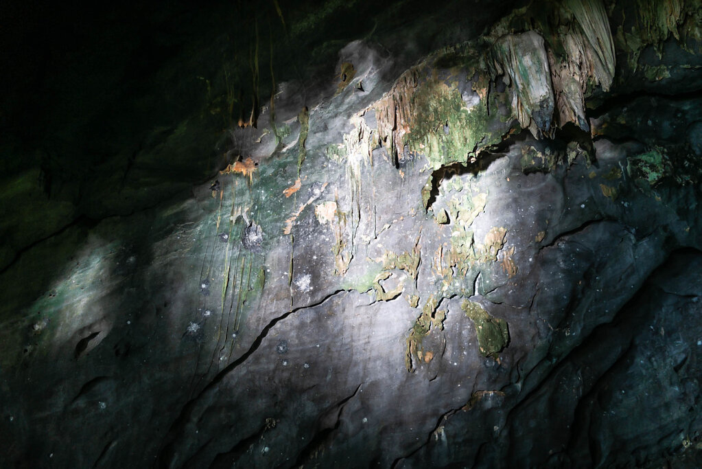 190811-RX1-1635-VNM2755-EDIT.jpg