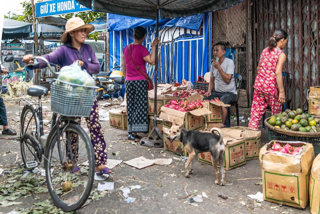 190813-RX1-1555-VNM3127-EDIT.jpg