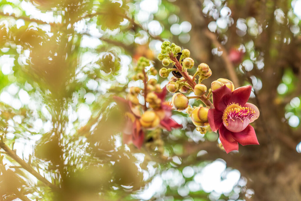 190814-RX1-1121-VNM3306-EDIT.jpg