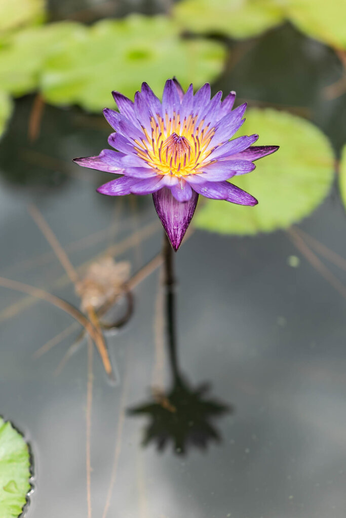190814-RX1-1122-VNM3316-EDIT.jpg