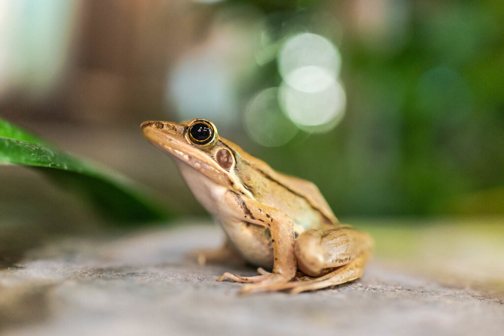 190820-RX1-2045-VNM4086-EDIT.jpg