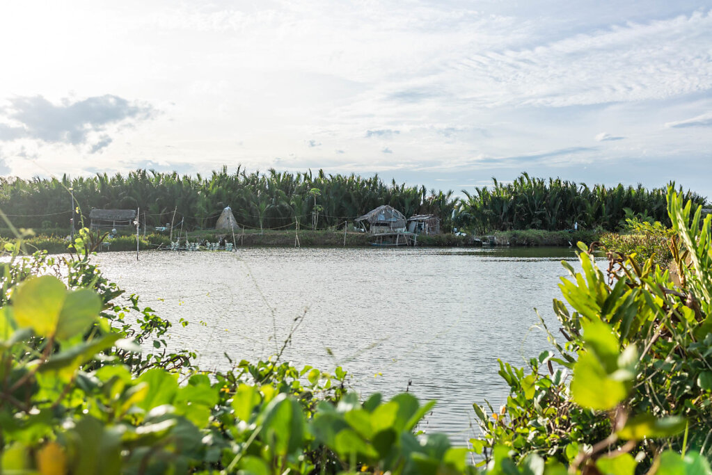 190818-RX1-1653-VNM3832-EDIT.jpg