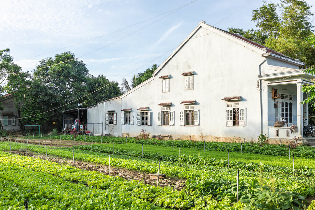 190818-RX1-1711-VNM3873-EDIT.jpg