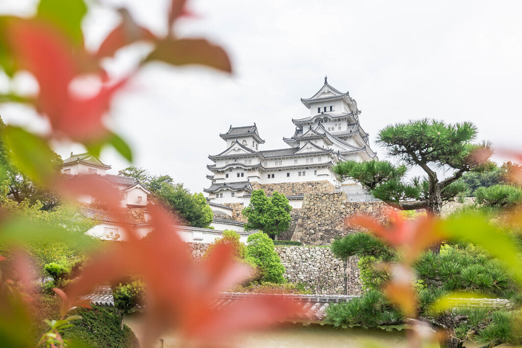 190901-RX1-1130-JPN4769-EDIT.jpg